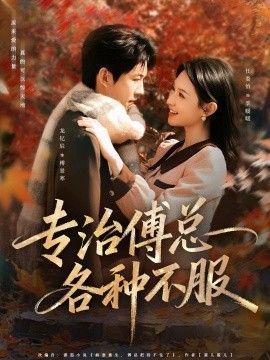 钢之炼金术师FA